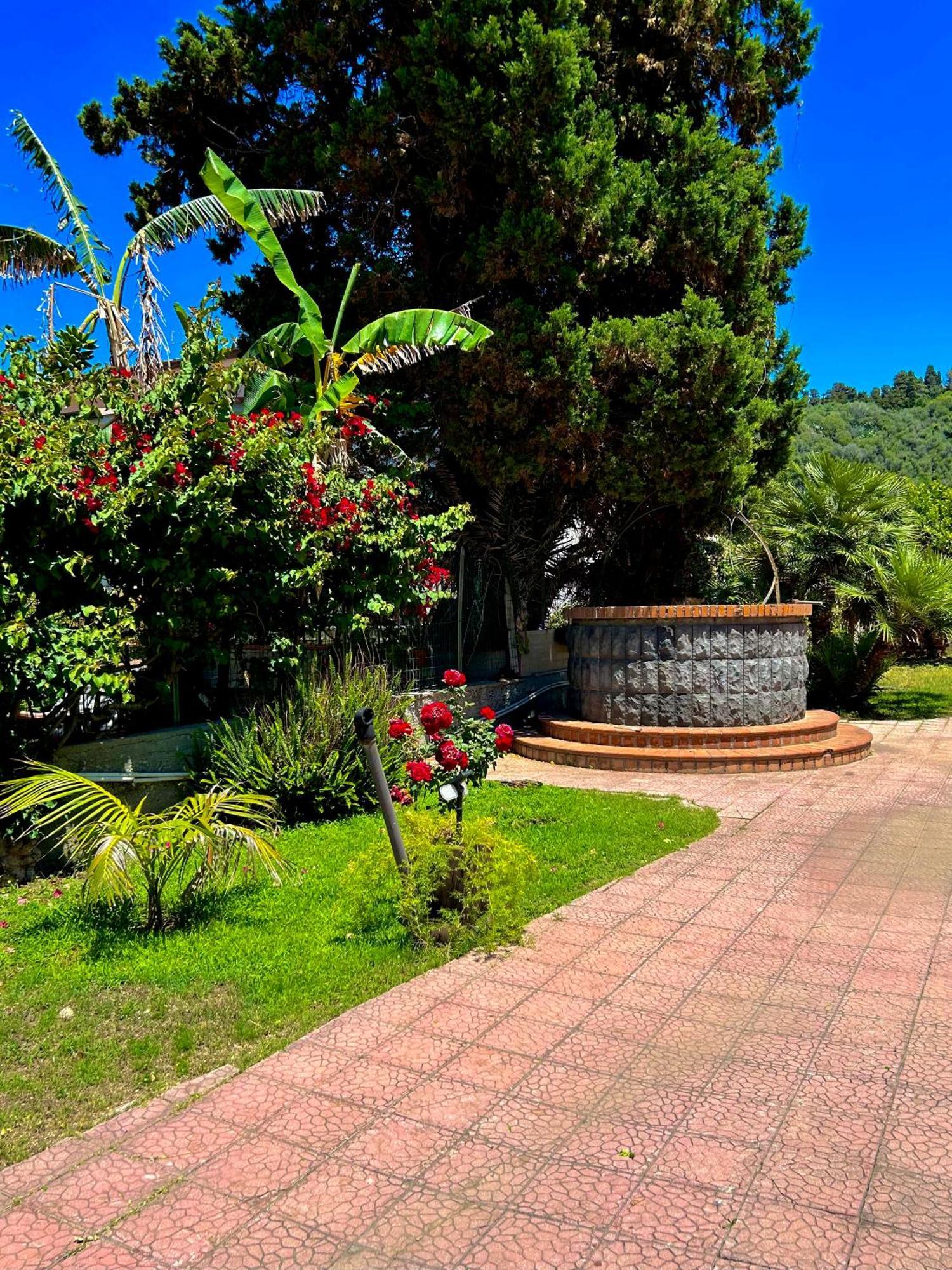 B&B Villa Rodriguez 米拉佐 外观 照片